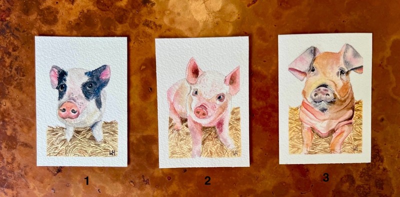 ACEO/ATC art cards/miniature paintings watercolor prints of pigs 3.5inx2.5in.