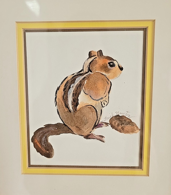 Adorable Original Artwork, Squirrel, Framed & Matted, Signed by artist gallery