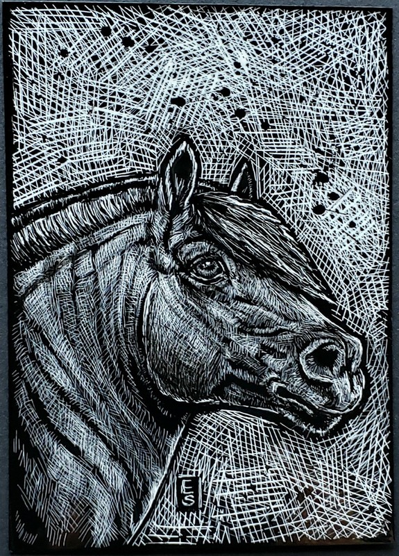 Horse Original ACEO Norwegian Fjord Scratchboard Art Card