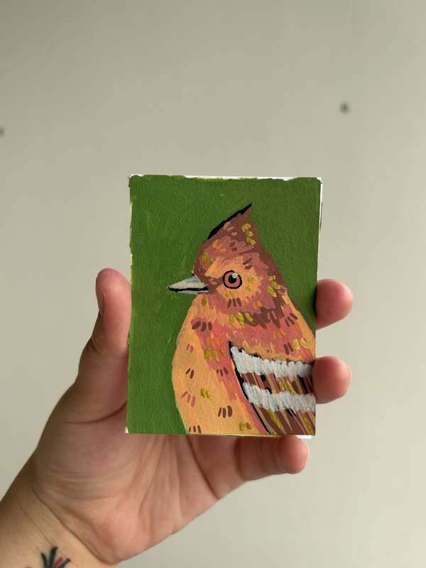 Abstract Tufted Flycatcher Bird ACEO ATC Original Acrylic Marker 2.5x3.5in gallery