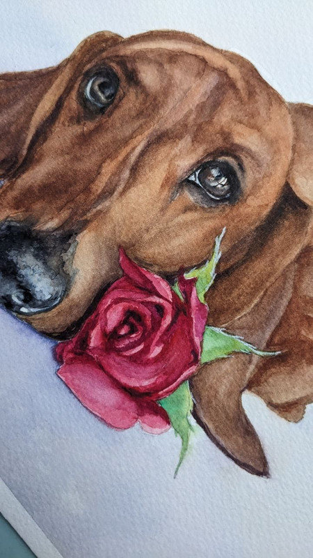 Dog Watercolor Painting Dachshund Smooth Cute Pet Animal Lover Gift A4 Art gallery