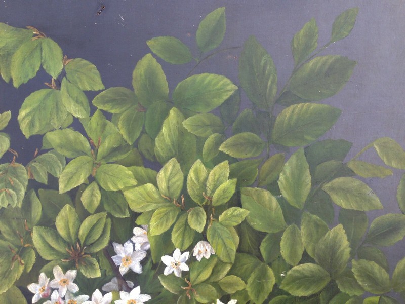 DELICATE WHITE FLOWERS AND GREEN LEAVES gallery