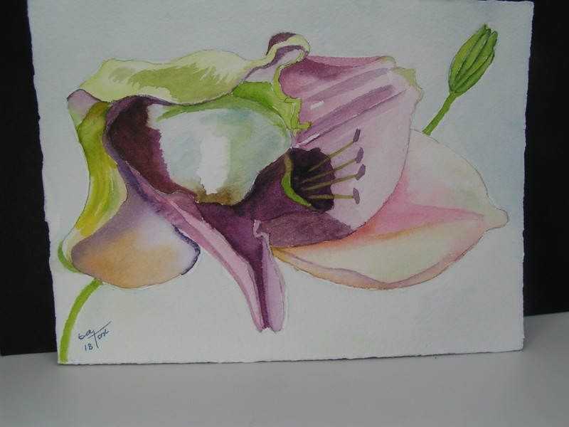 Unframed Original Signed Angel Trumpet Watercolor Painting-Betsy Fox 5.5″X7.5″
