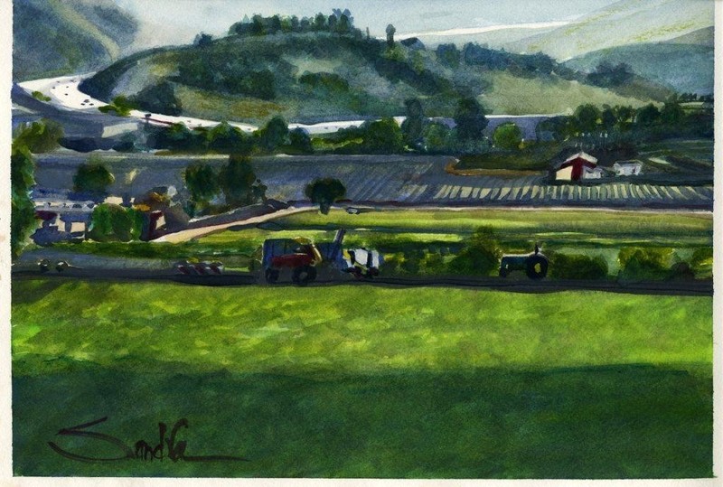 Camarillo Farming – SandraWatercolors™ ORIGINAL Watercolor CA Farm 13×17