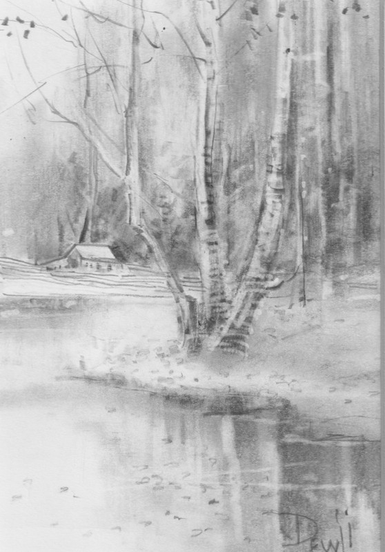 Farm 14- Birch trees along a stream, barn, Pencil drawing 7″x5″ Original art $50