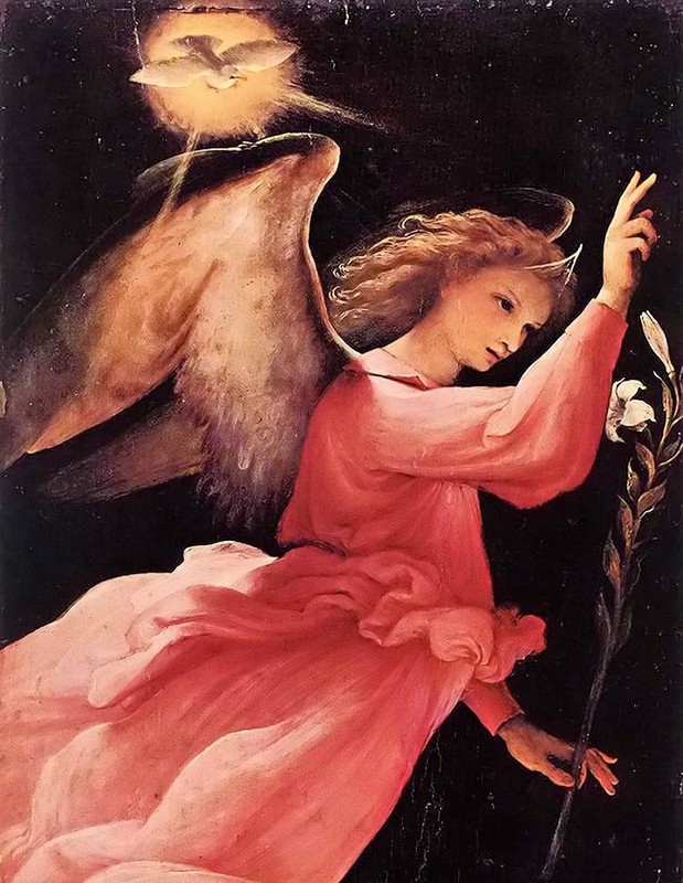 Beautiful Oil painting Lorenzo Lotto – Flying angel holding branch no framed art
