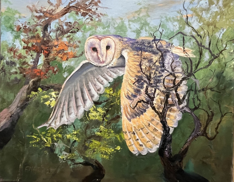 Frank Maier Original Oil on Canvas Owl in Flight 16″x20″ (Unframed)