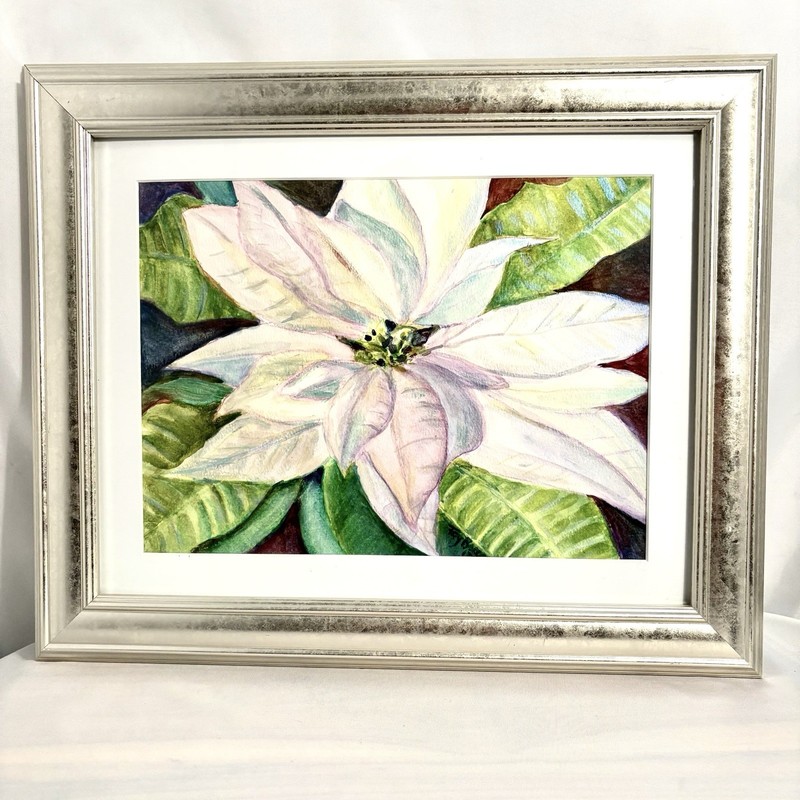 Original White Poinsettia Watercolor Painting 17 x 14 Christmas Winter Botanical