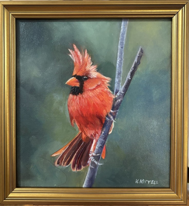 Art Original oil painting on Canvas Panel. Northern Cardinal. Framed