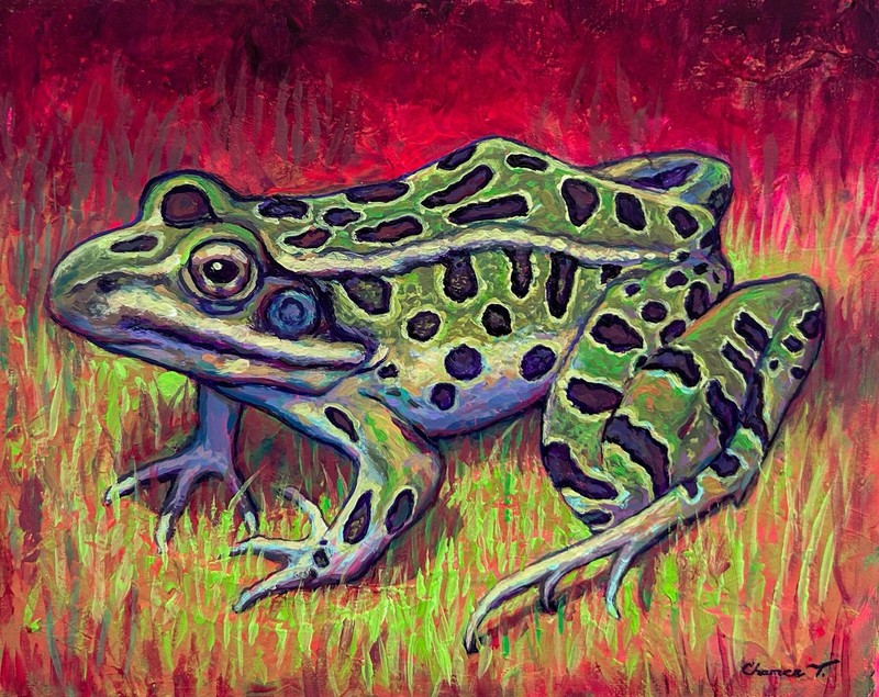 Original Acrylic Painting – Leopard Frog – Framed – Artist Chance Tedesco