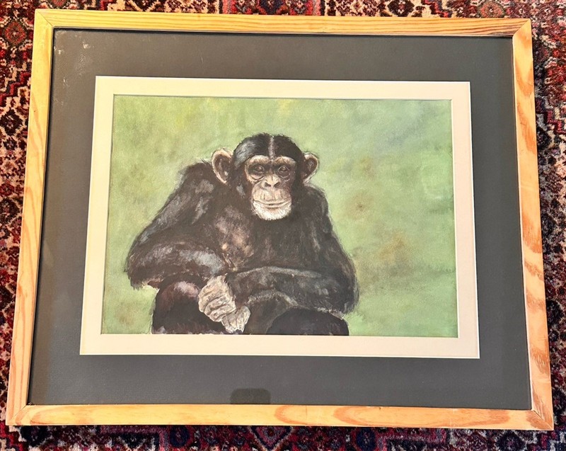 Original Watercolor “Chimpanzee” Zoo Animals Monkey Modern Frame