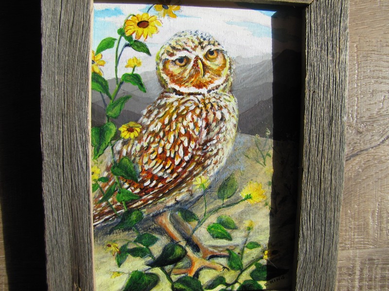 ORIGINAL ART ACRYLIC PAINTING BURROWING OWL BIRD 5" by 7" BARNBOARD FRAME gallery