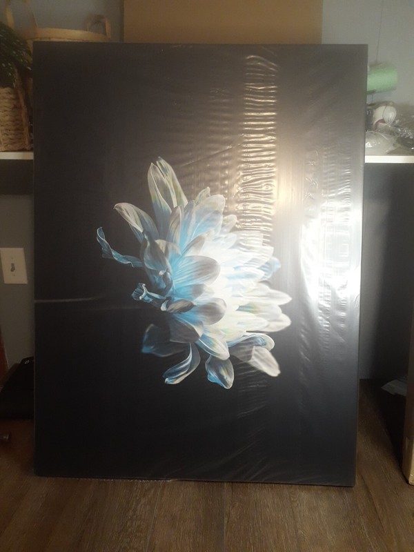 Designer Art Close Up Of Pure Blue And Whte Daisy Flower Traditional Canvas Wall