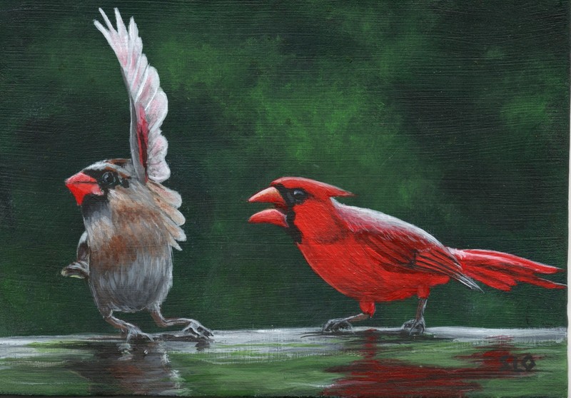 Cardinal Birds Acrylic Wildlife Painting ORIGINAL 5×7 Art by Sandra O’Steen