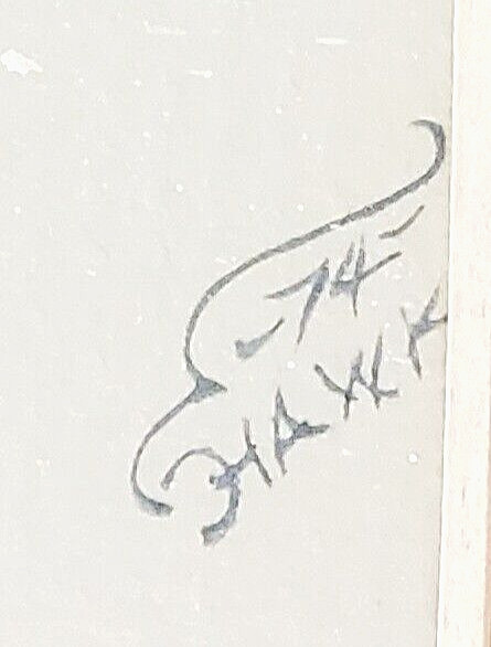 ORIGINAL 1974 NATIVE AMERICAN WATER COLOR PAINTING SIGNED HAWK gallery