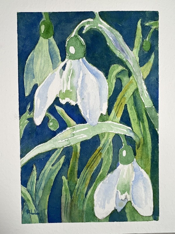 Roberta Larson Original Watercolor Painting Snowdrops 7×6” Signed Flower