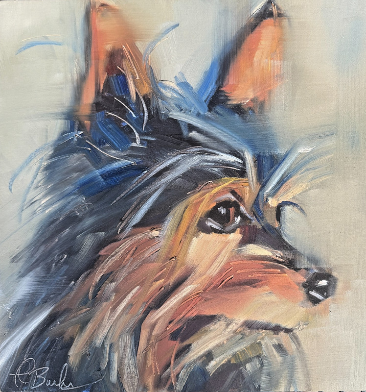 Yorkshire Terrier Dog Oil Painting 12×12 Canvas Panel «Little Shadow»