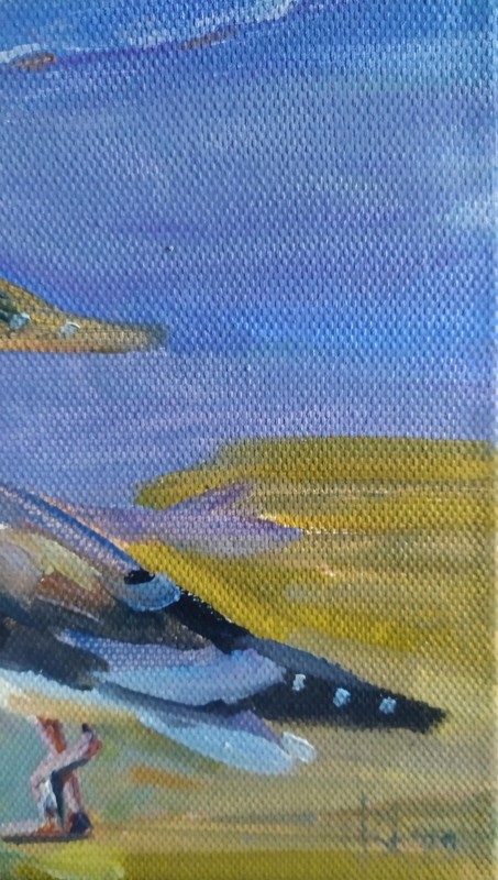 oil painting on canvas original art with two seagulls on the seacoast gallery