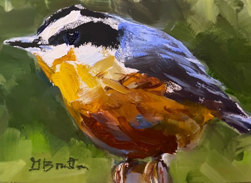Original Oil Painting, ACEO, Miniature, Bird, Nuthatch by Gary Bruton