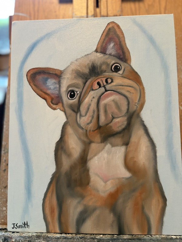 Original oil painting 11 x 14 inch French Bulldog with sassy attitude gallery