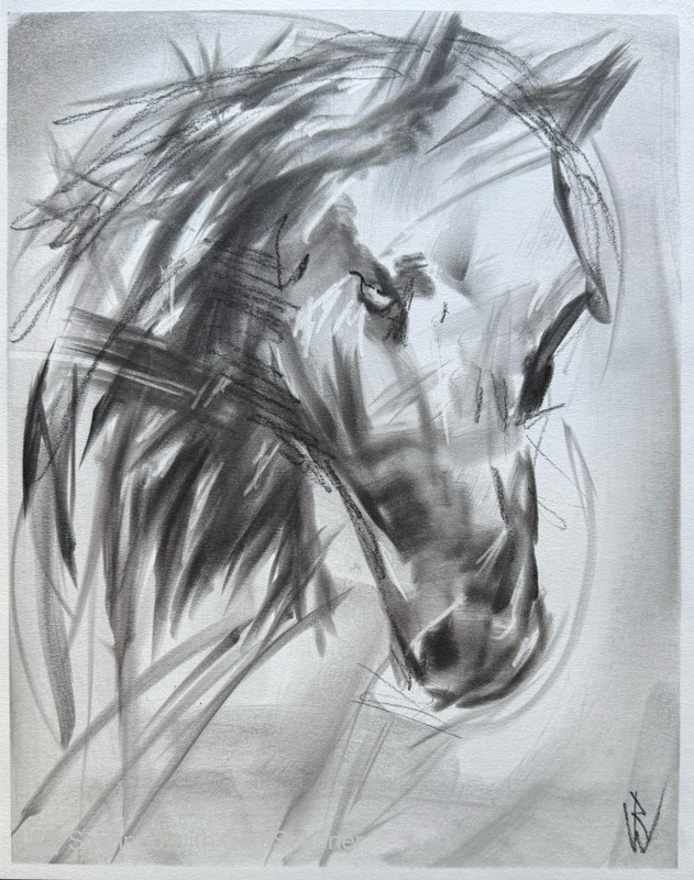Abstract Horse Portrait Pastel Drawing 11×14 Original Art
