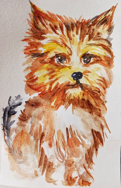 Yorkshire terrier Original Dog Pet art,yorkie puppy,painting,home,office design