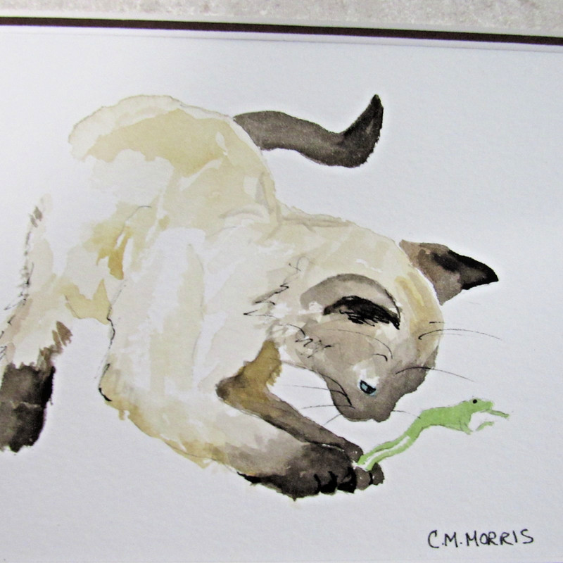 Original Watercolor Siamese Cat signed by PA Artist C.M. Morris 6.5" x 4.5" gallery
