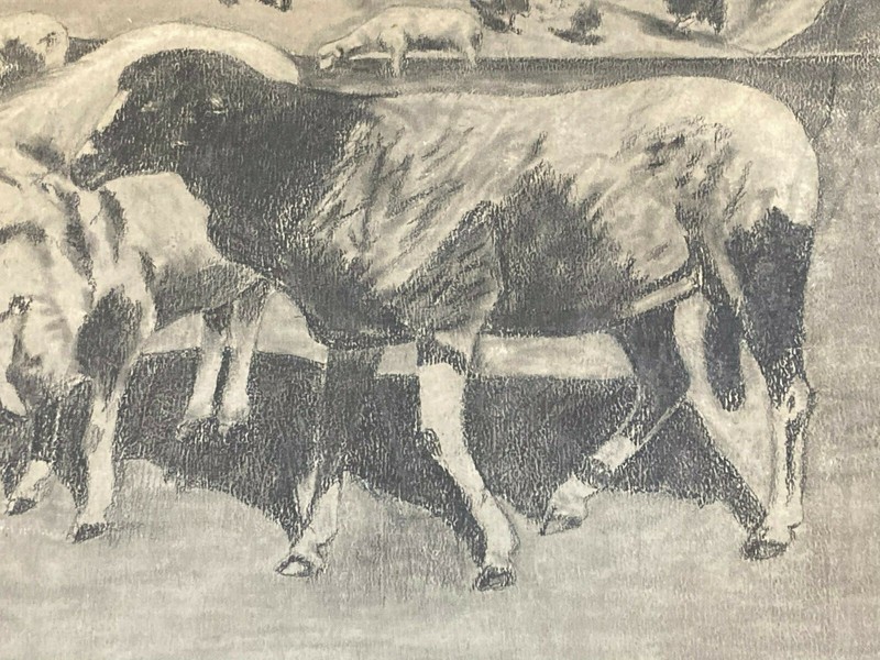 Rare ancient charcoal : "sheep in herd" - signed - Milano - 1935 - Good deal !!! gallery