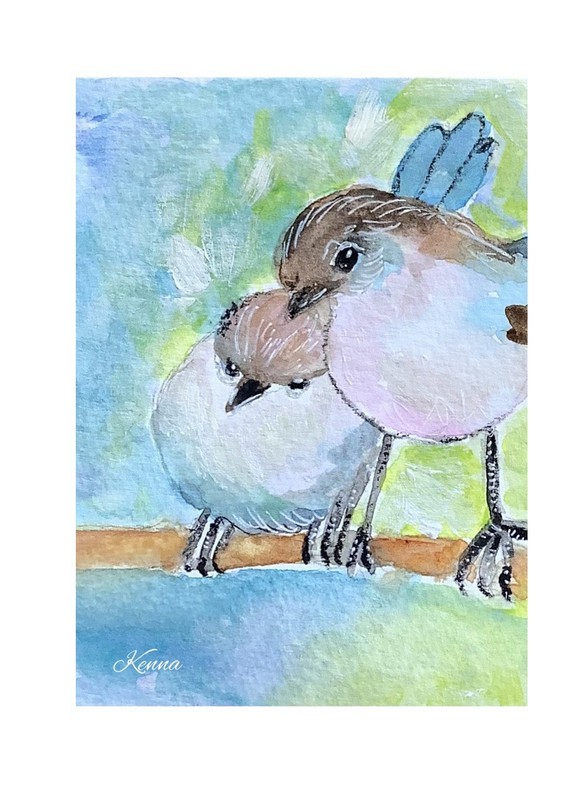 Aceo By Kenna Fairy Wrens Original Watercolour Painting 2.5” X 3.5” Signed ATC