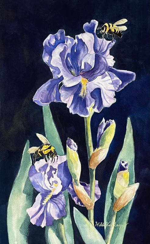Purple Irises And Bumblebees Original Watercolor Painting