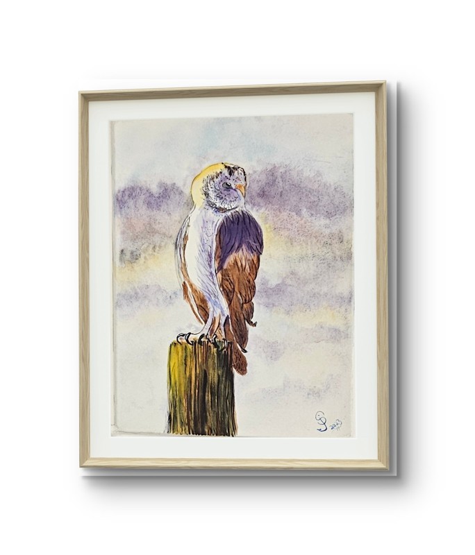 Watercolor Owl home decor. Expression Cre4ated Just for You