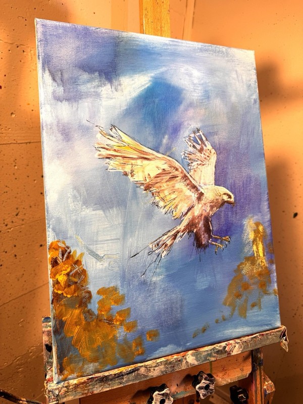 Original Abstract Hawk 12x16 Expressionism Hand Painted Living Room Art 298 gallery