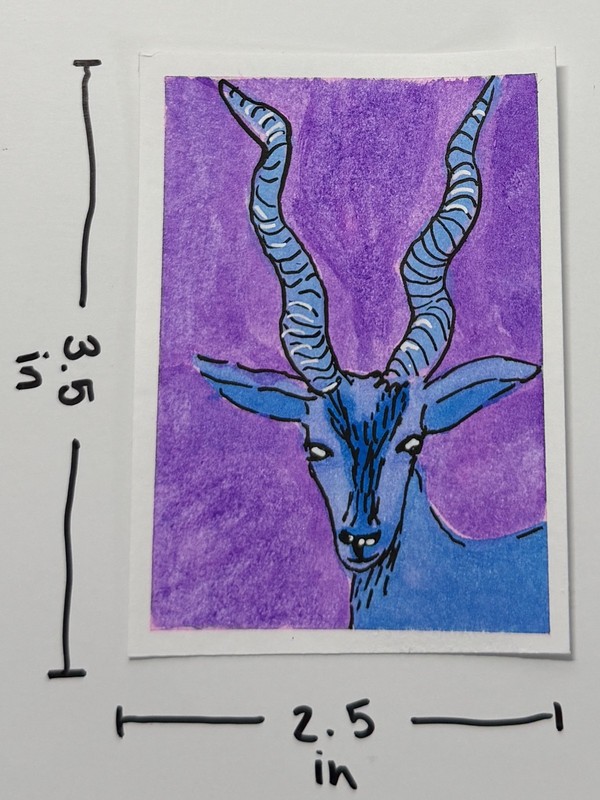 ACEO Original Artwork -Gazelle 1/5 Blue Horn collection gallery
