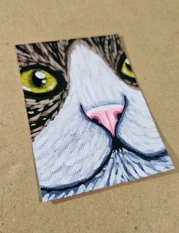 ACEO Tabby Cat Mini Painting Original White Cat Face Acrylic Signed Artwork gallery
