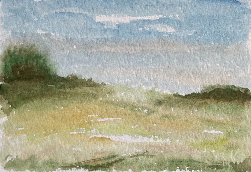 NATURALIST VAST LANDSCAPE IN SWEDEN SCANDINAVIA MODERN WATERCOLOUR 24X16.5