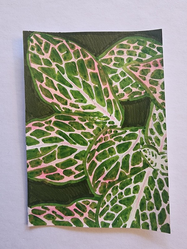 ACEO Original Abstract Acrylic Painting of a Leafy House Plant by Kiva