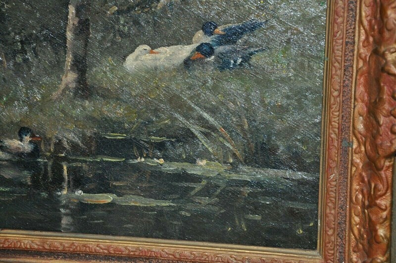 Powerful Antique American Ducks on Pond oil on Canvas gallery