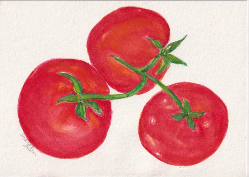 5x7 Red Tomatoes Original Watercolor Painting, Fruit FREE SHIP, Sharon Foster gallery