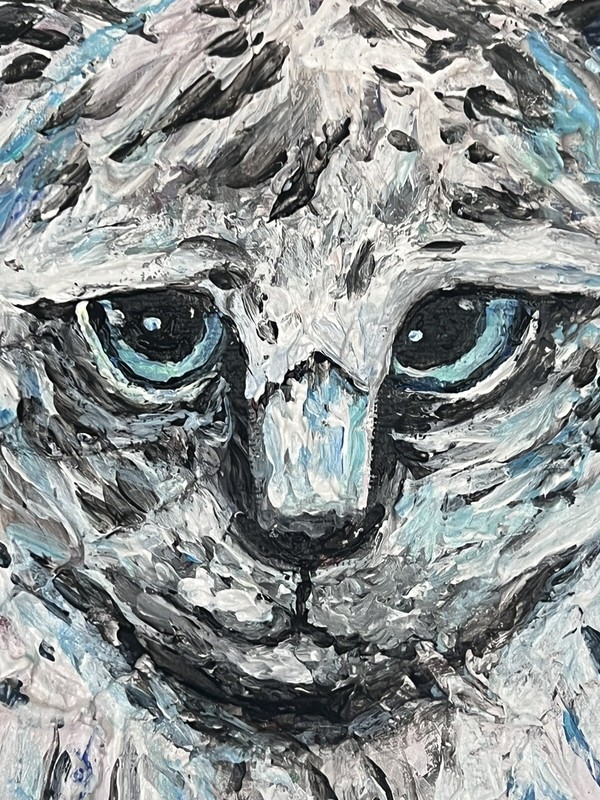 Ragdoll white cat texture original Melissa Bollen acrylic one of a kind painting gallery