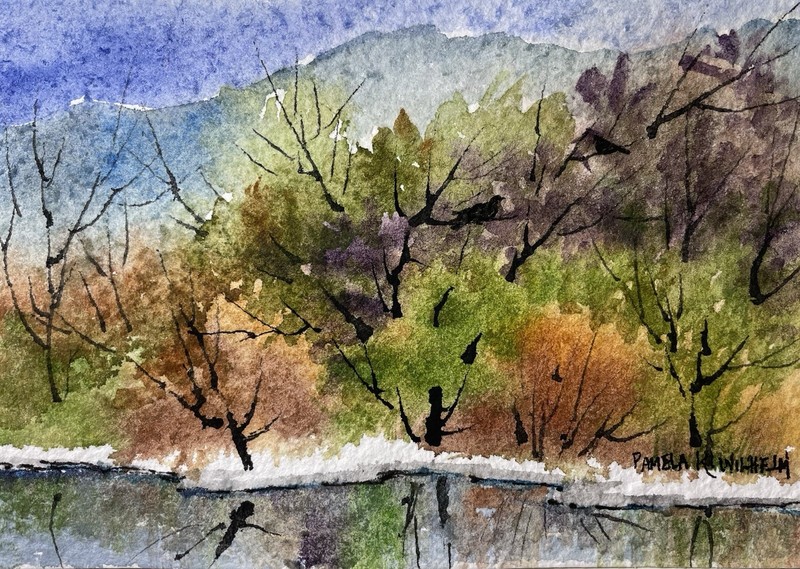 Pamela Wilhelm Original Watercolor On Textured Paper Trees Pond Birds 5 X 7“