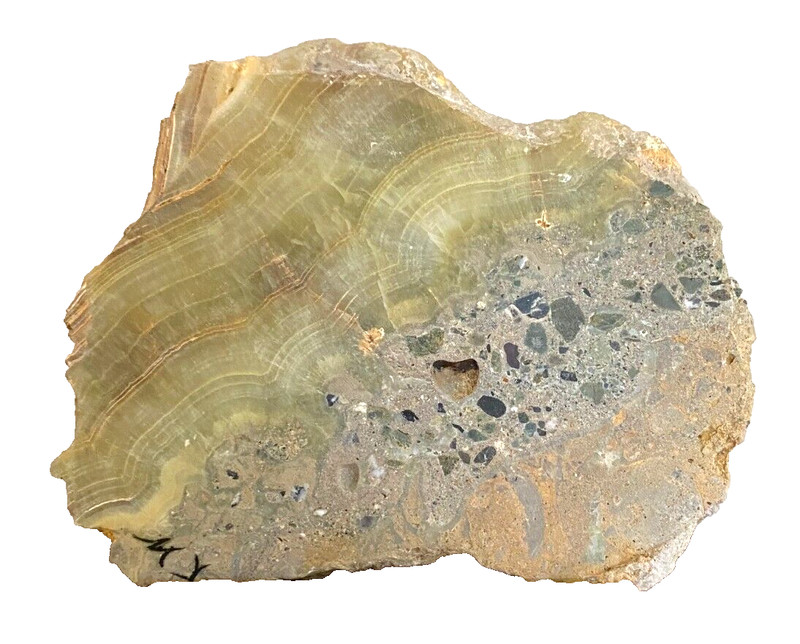 Hand Painted Bird Art Work On Stone Rock Slab - Signed by Artist - on Wood Stand gallery