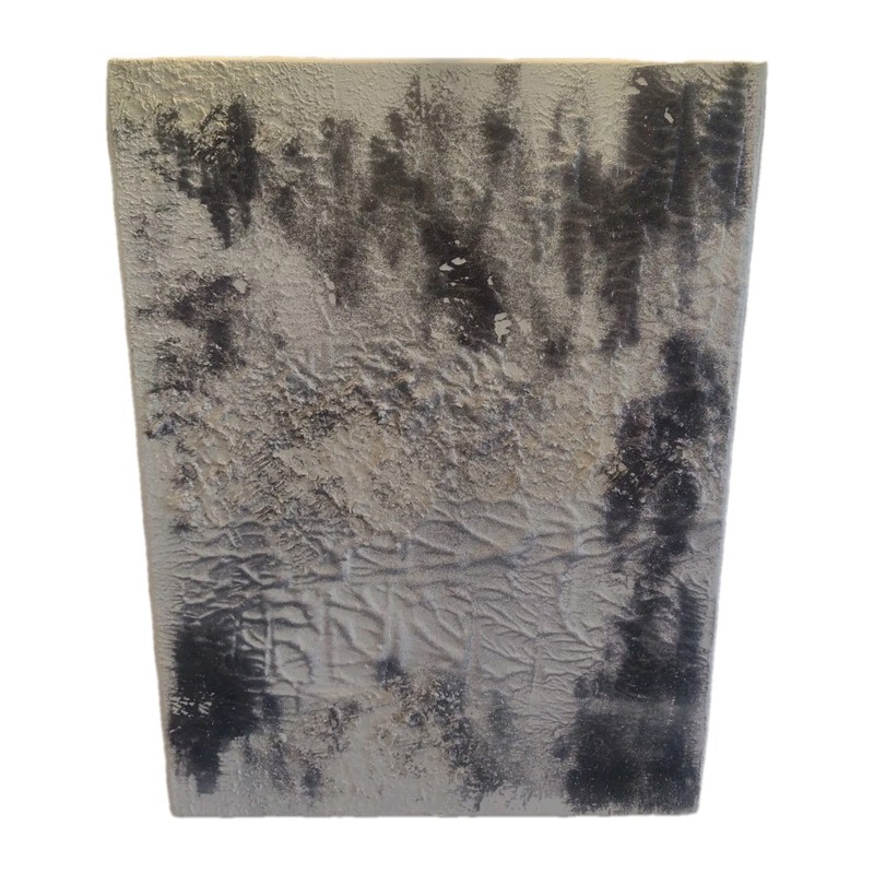 Abstract painting Ultra Modern Fine art Black White Textured Dust In The Snow
