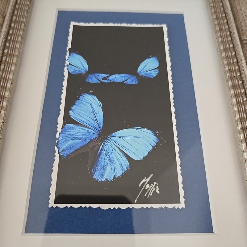 Set 2 Still Life Giclee Prints - Butterflies with Flower - Signed By John Mojjis gallery