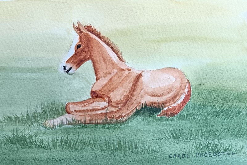 original watercolor painting horse colt foal peaceful small Carol Proebstel