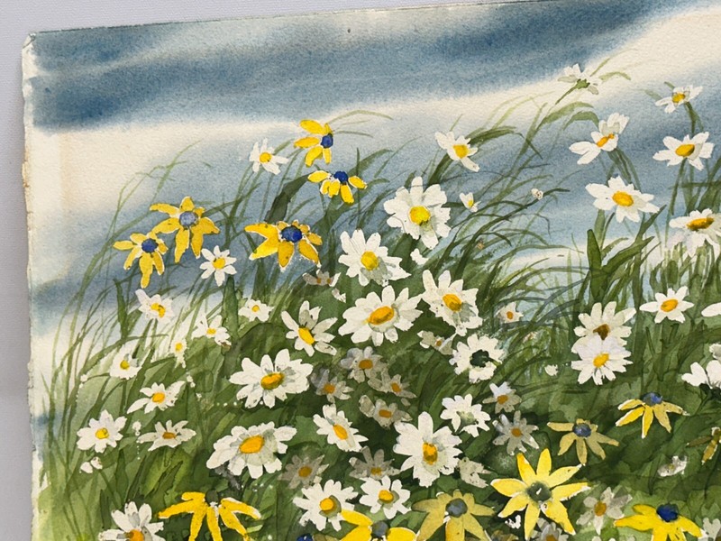 Frieda Gaun Original Signed Watercolor Painting - Field of Daisy / Rudbeckia gallery