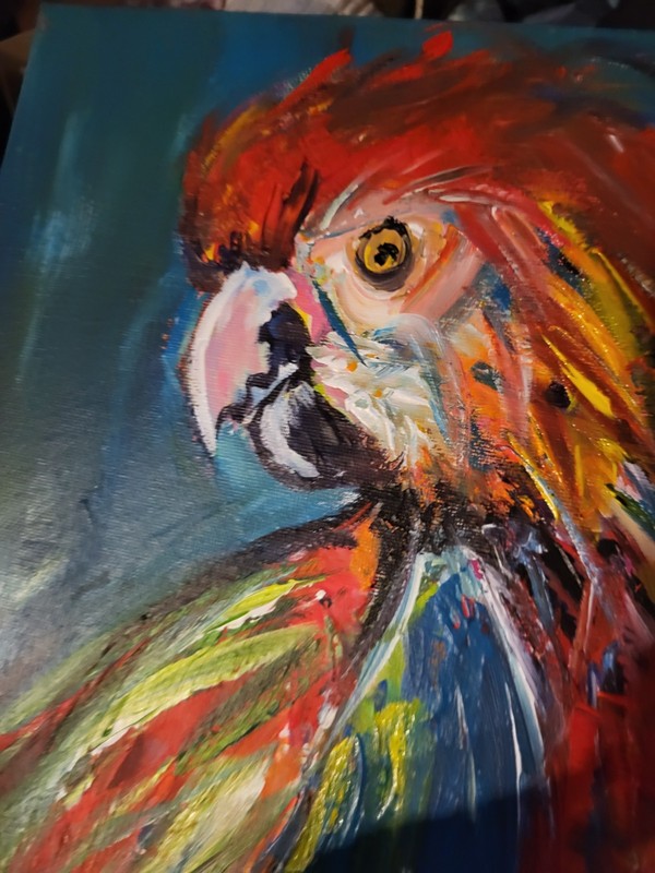 Original Parrot 16 x 12 Tropical Bird Canvas Modern Expressionism Decor gallery