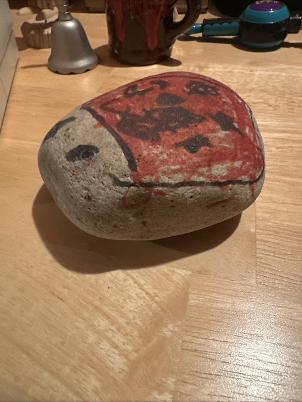 Homemade Ladybug Rock gallery