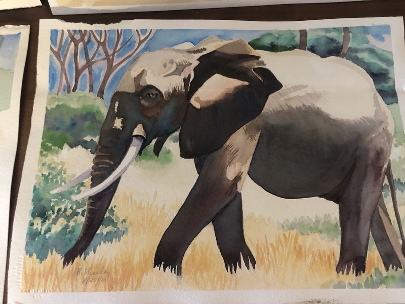 Lot Of Original Artwork Watercolor Elephants Finished And Unfinished gallery
