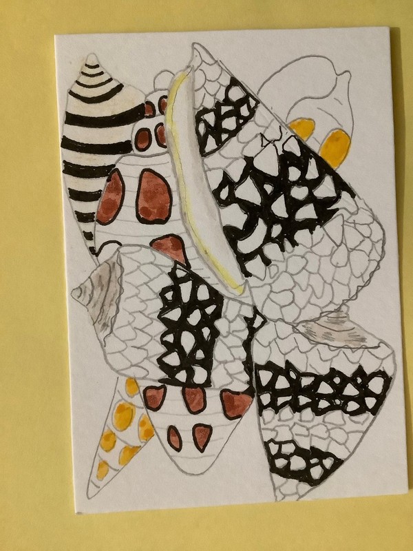 ACEO, ART CARD, SEASHELLS, Ink, Watercolor, Shells, Ocean, Beach, Painting