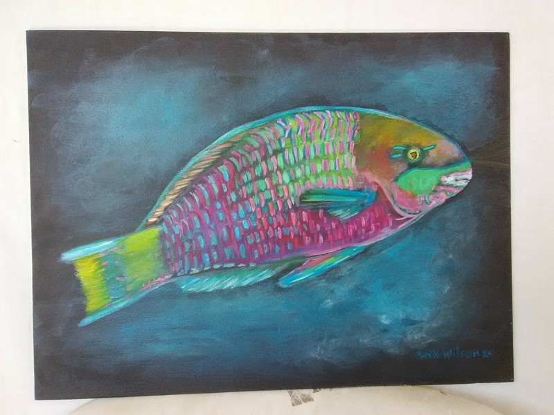 Parrotfish Sea Life Original Hand Painting 11X14 Canvas Wall Art Artwork Decor gallery